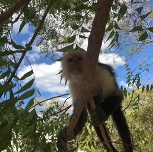 Meet your Posher, Marta